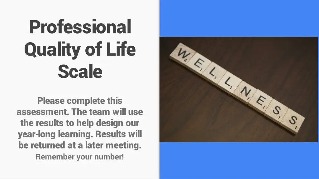 professional quality of life scale