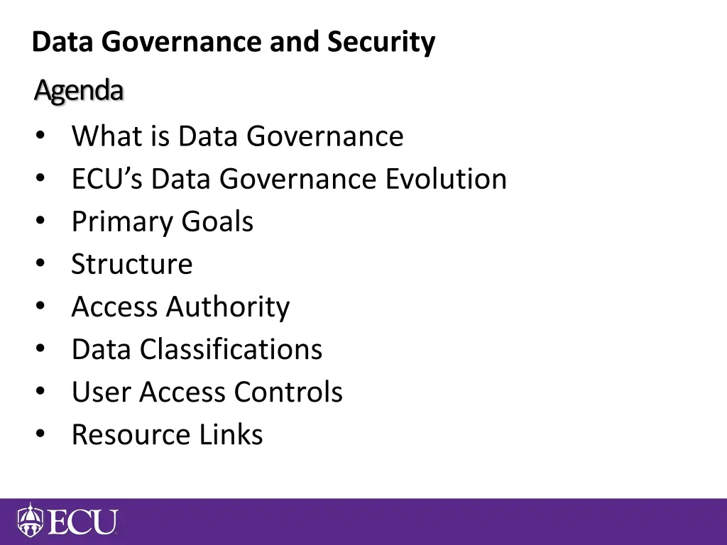 data governance and security agenda