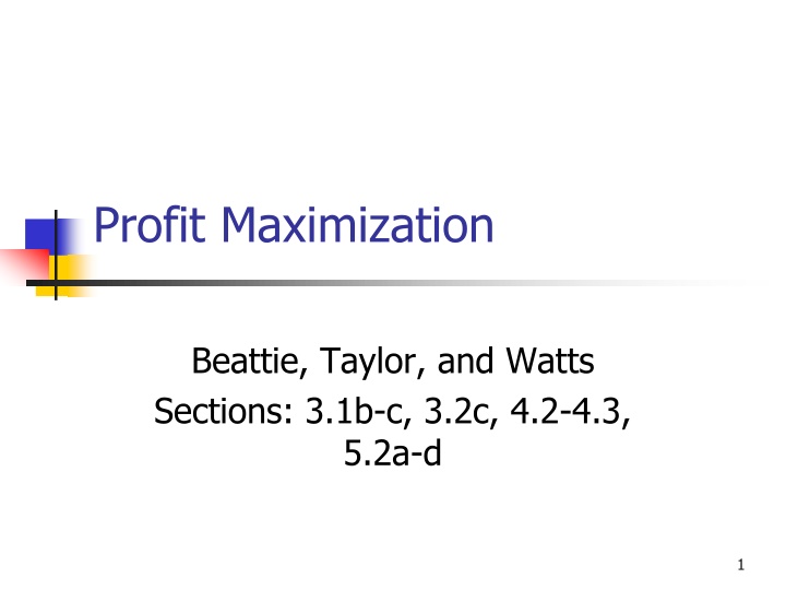 profit maximization