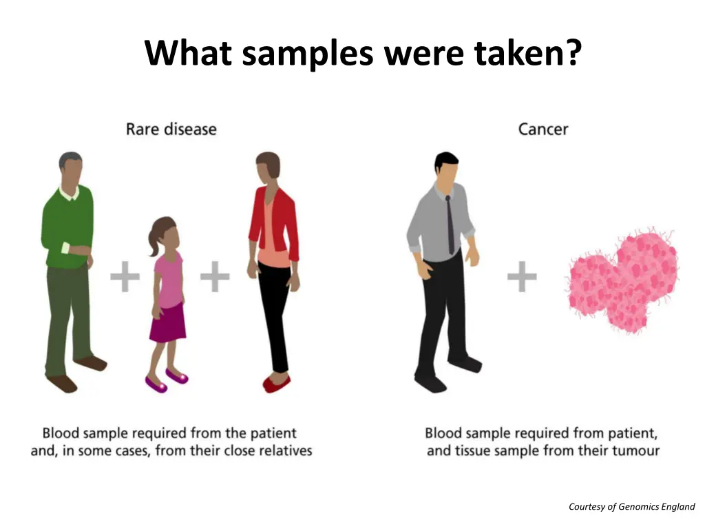 what samples were taken