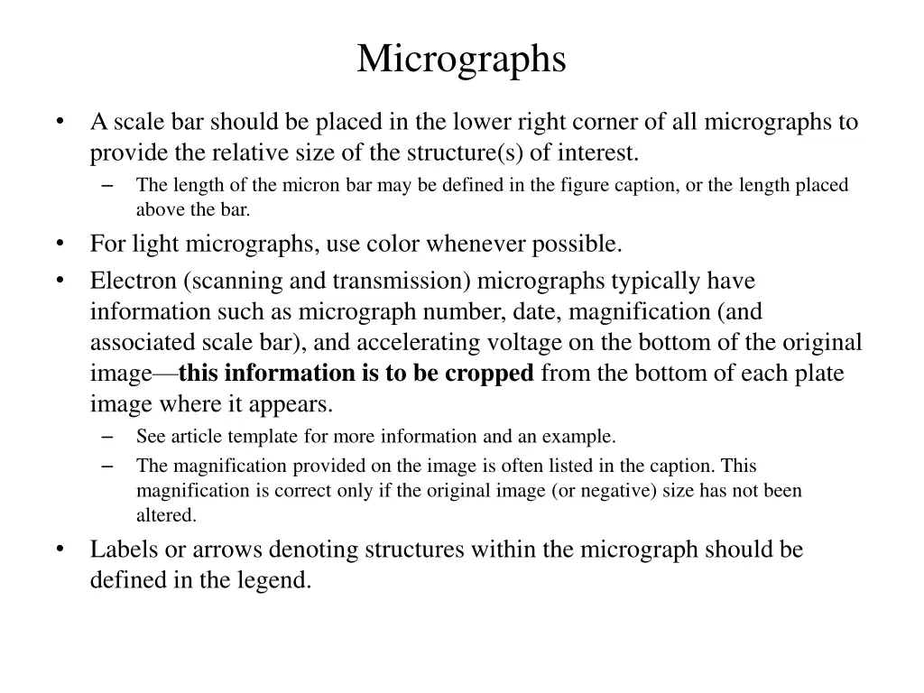 micrographs