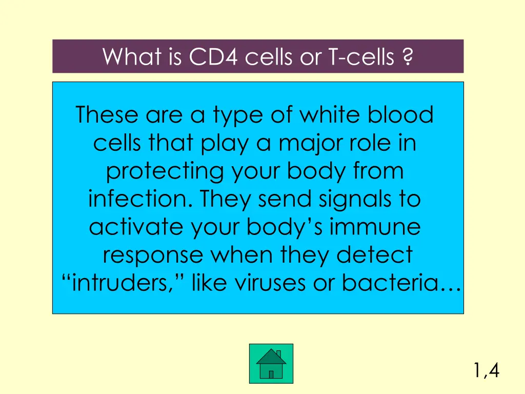 what is cd4 cells or t cells