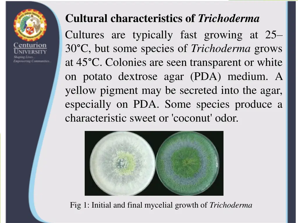 cultural characteristics of trichoderma cultures