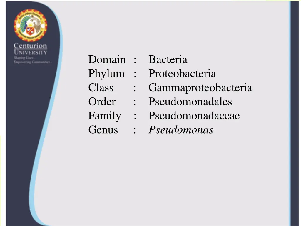 domain bacteria phylum proteobacteria class