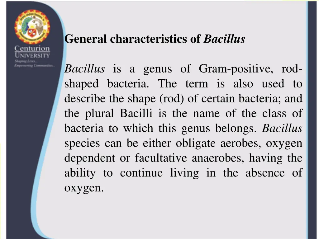 general characteristics of bacillus bacillus