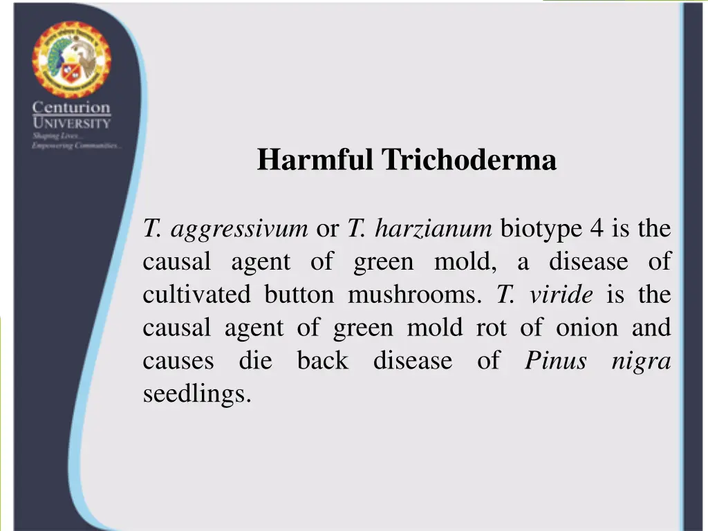 harmful trichoderma