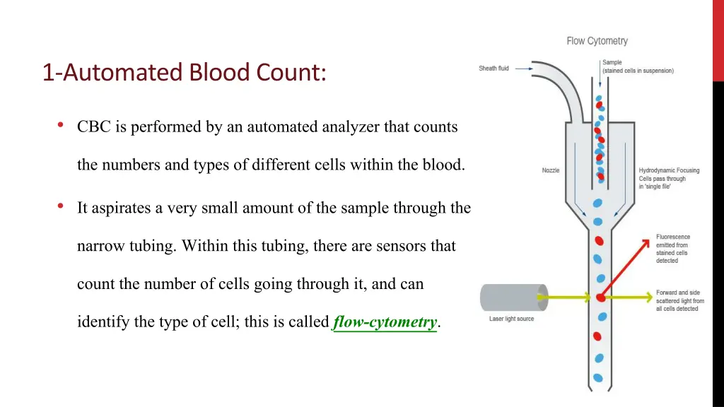 http a static abcam com cmsmedia media