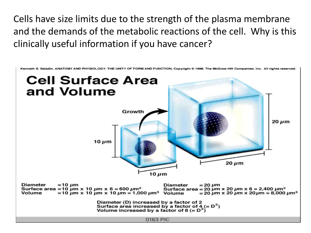 cells have size limits due to the strength