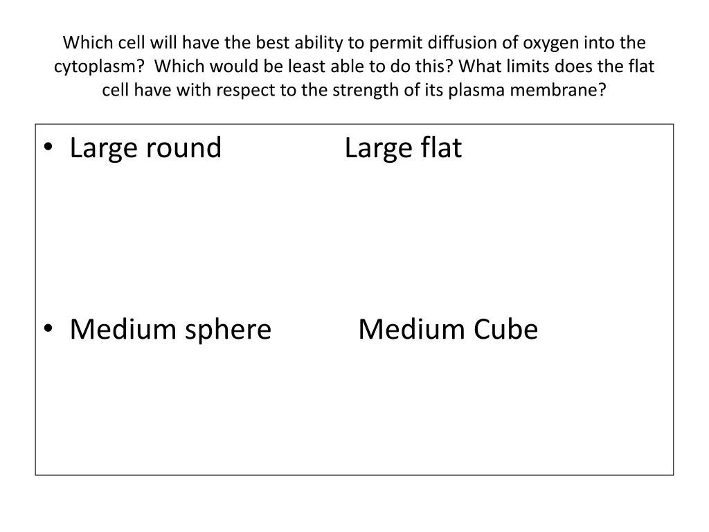 which cell will have the best ability to permit