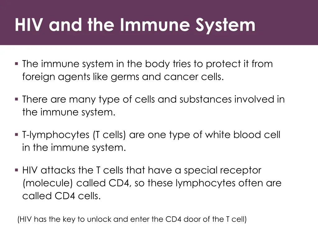 hiv and the immune system