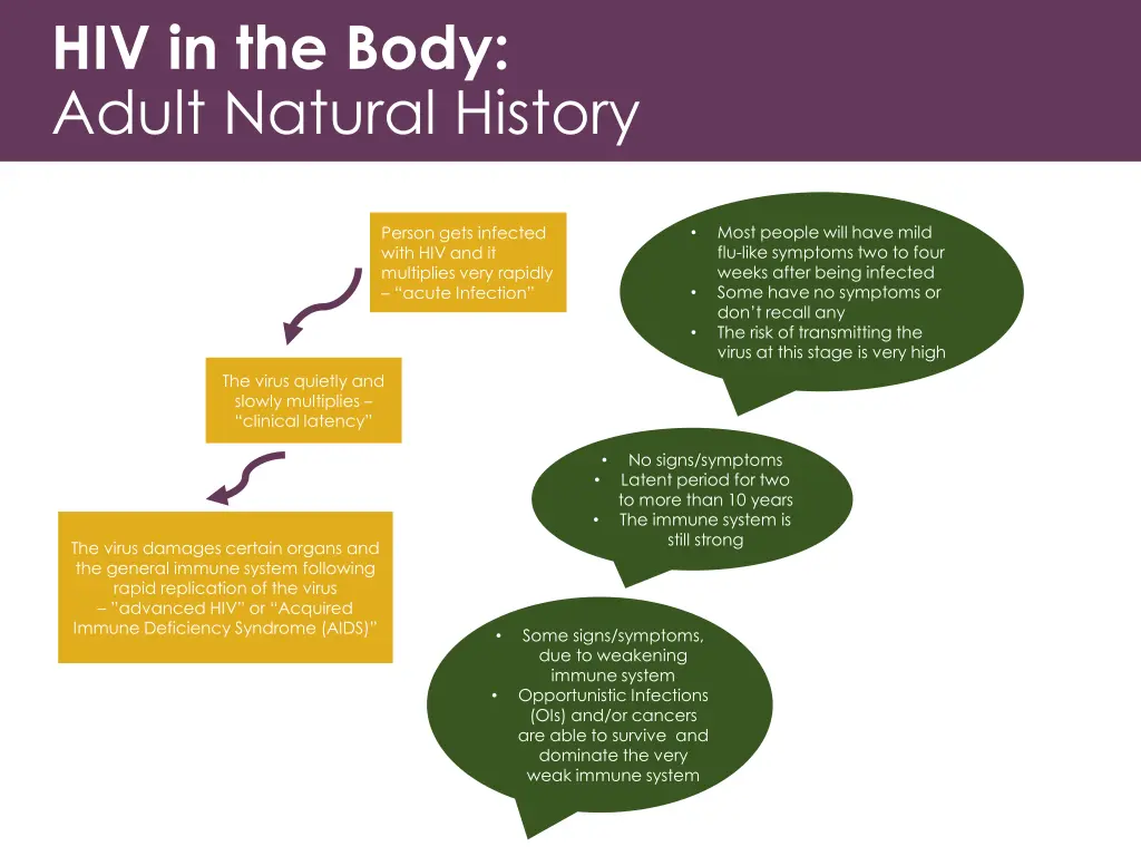 hiv in the body adult natural history