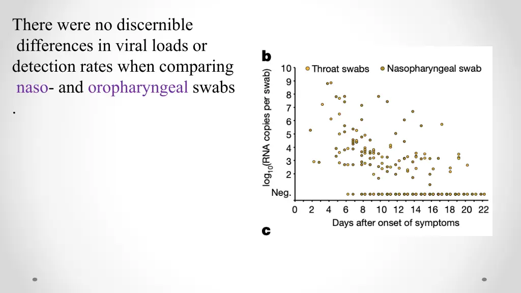 there were no discernible differences in viral