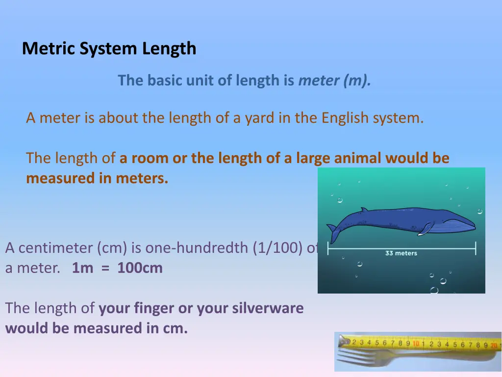 metric system length 1