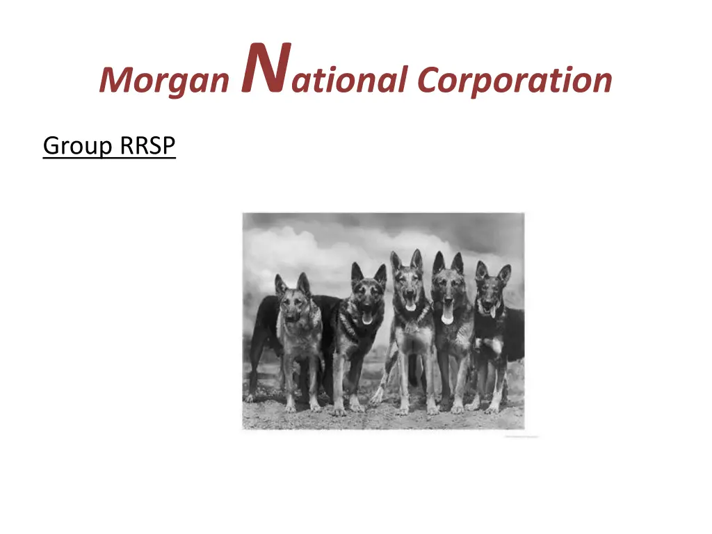 morgan n ational corporation 2