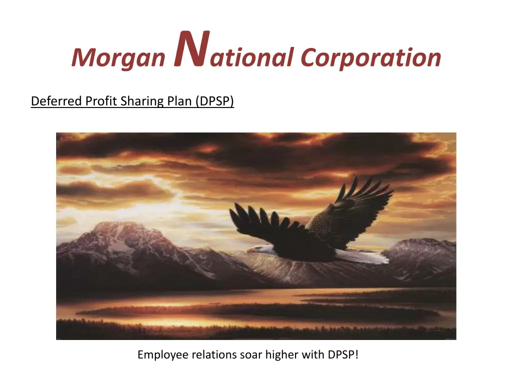 morgan n ational corporation 8