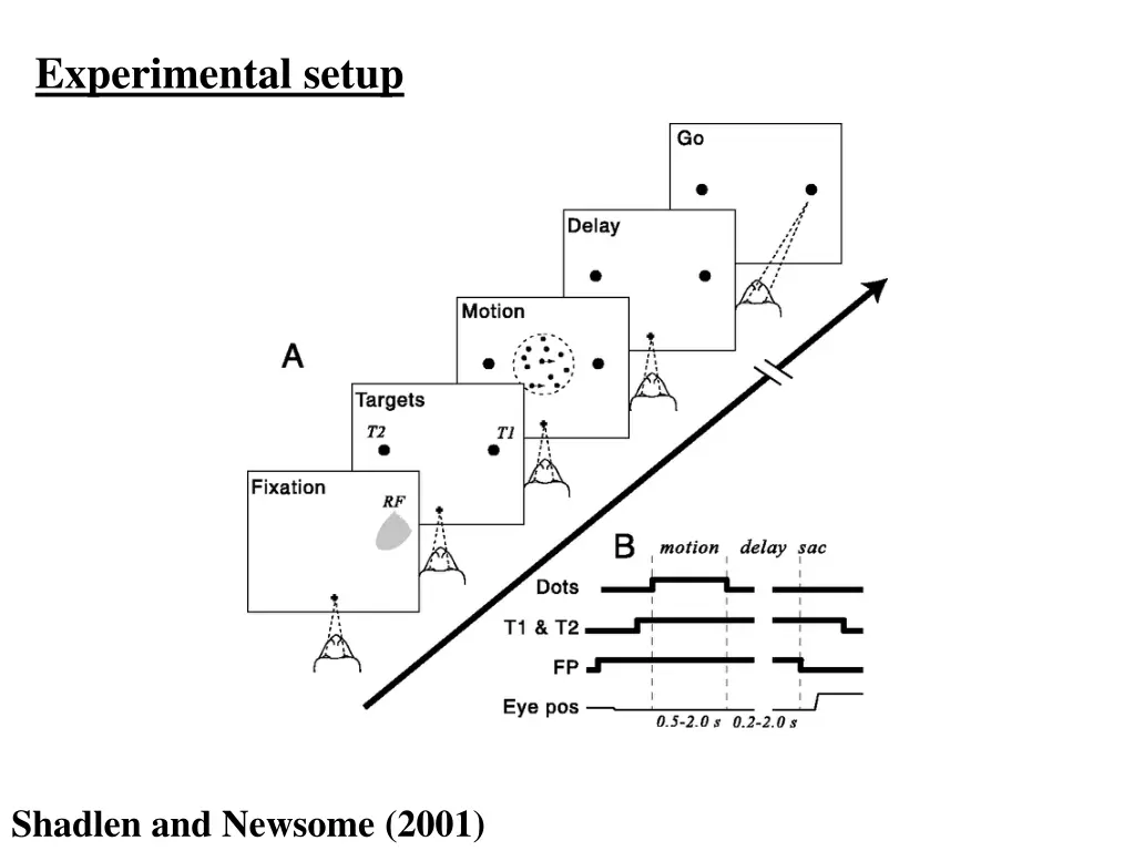 experimental setup