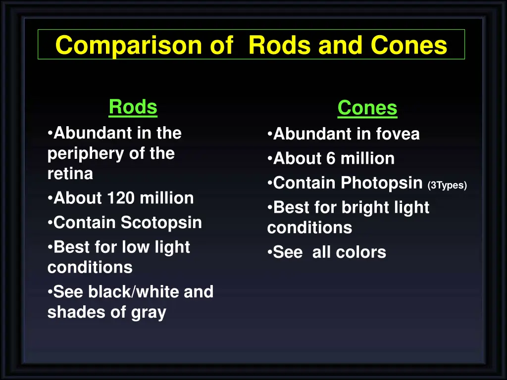 comparison of rods and cones