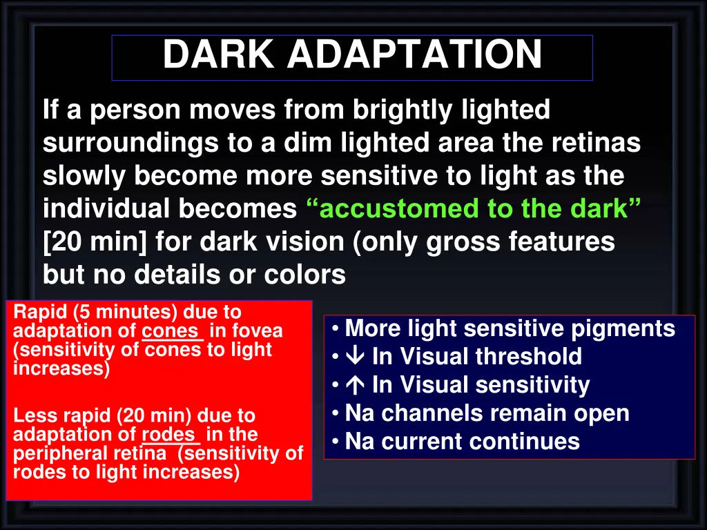 dark adaptation