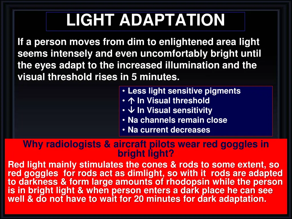 light adaptation