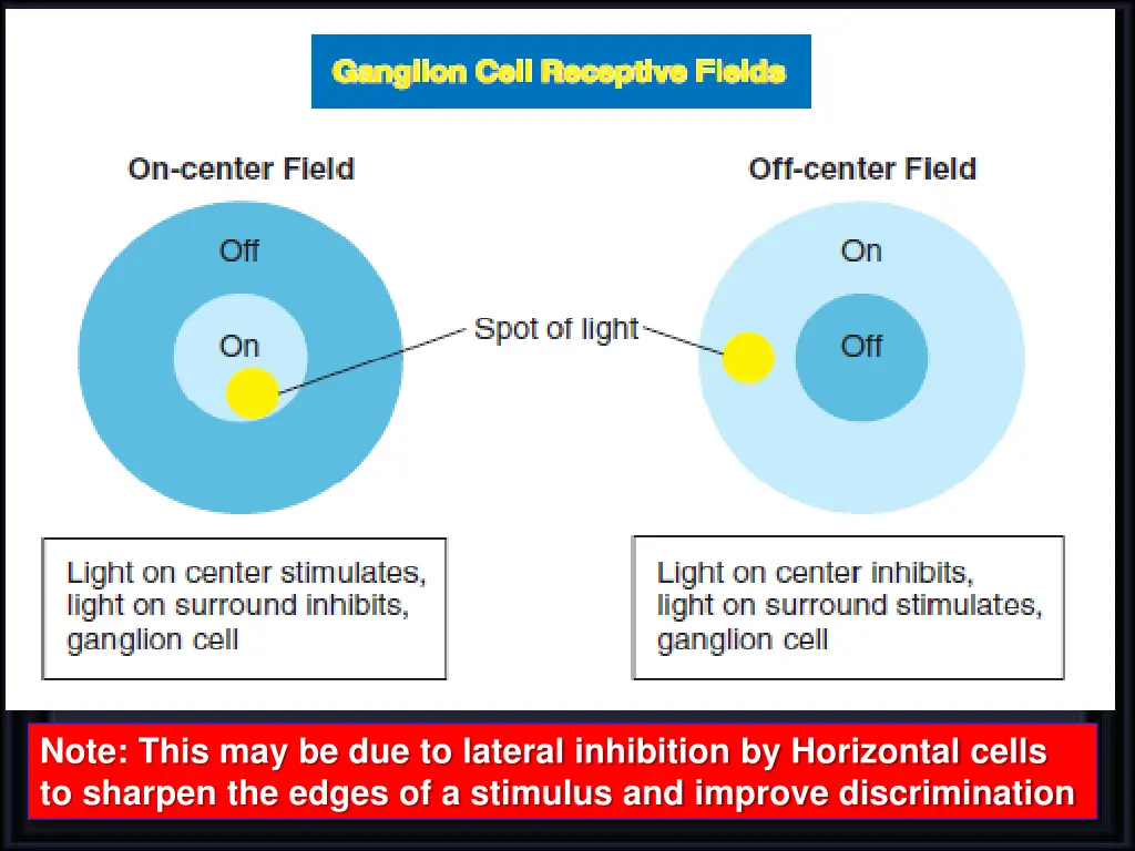 note this may be due to lateral inhibition