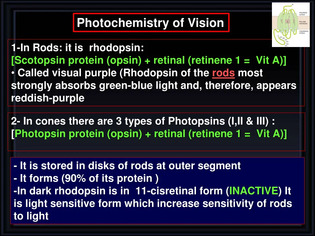 photochemistry of vision