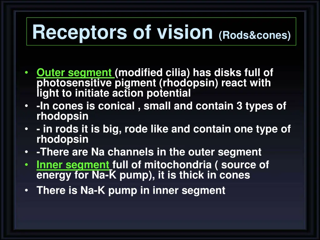 receptors of vision rods cones