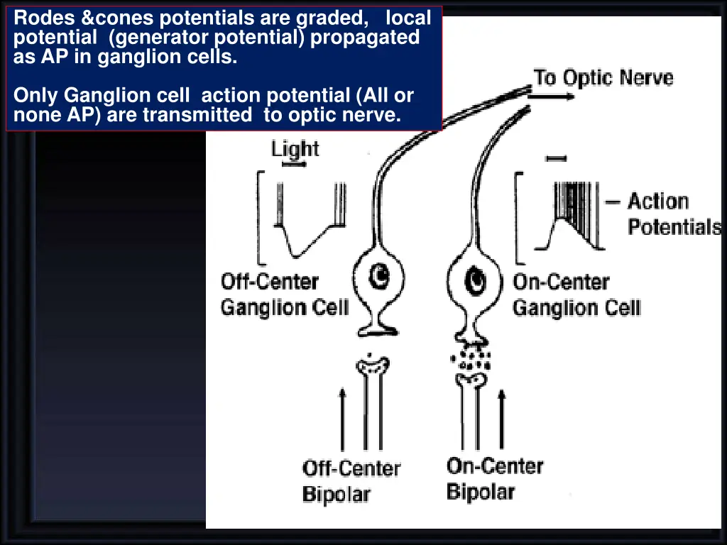 rodes cones potentials are graded local potential