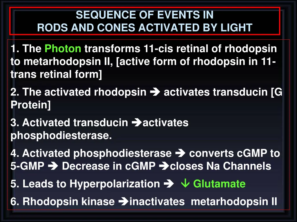 sequence of events in rods and cones activated