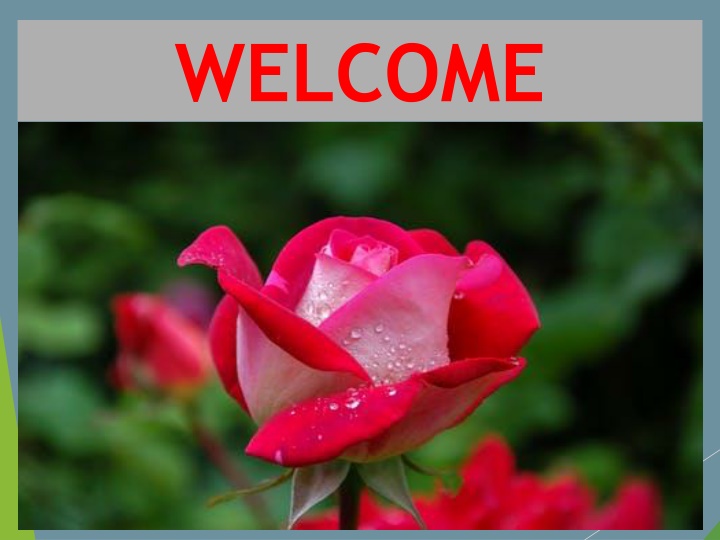 welcome