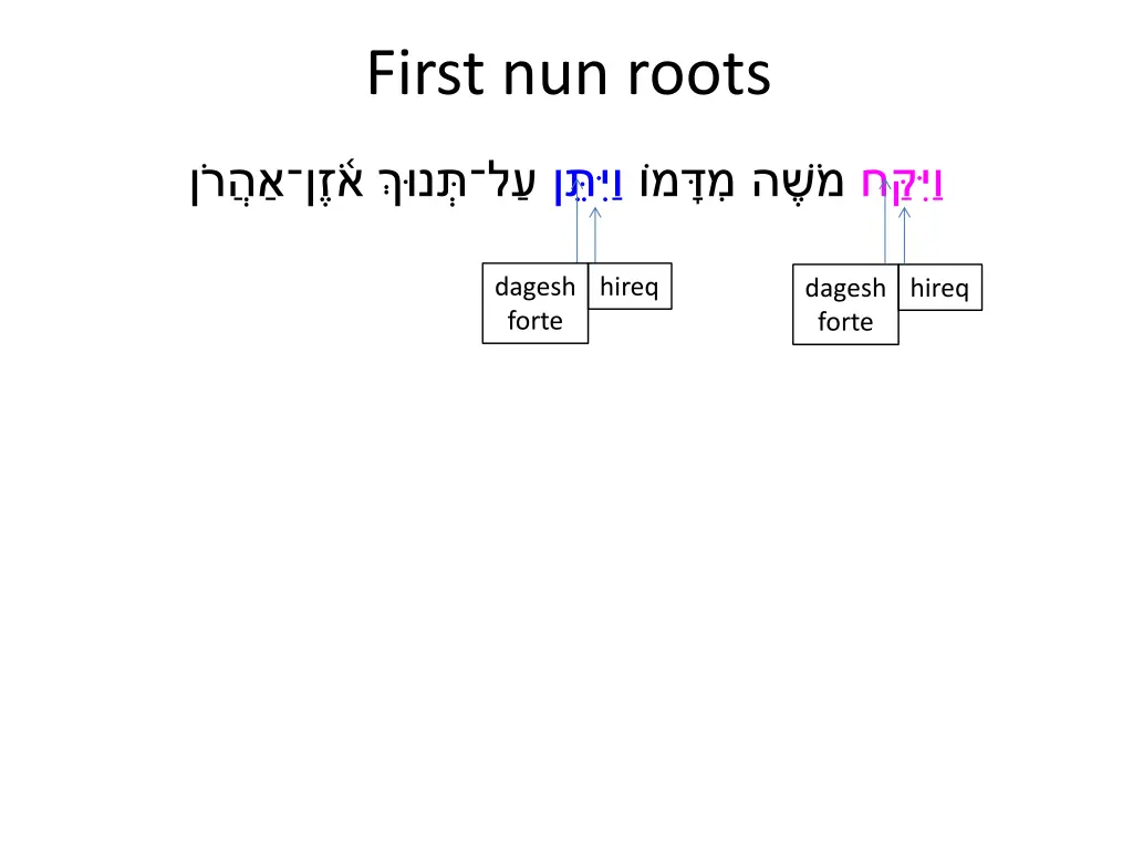 first nun roots 1