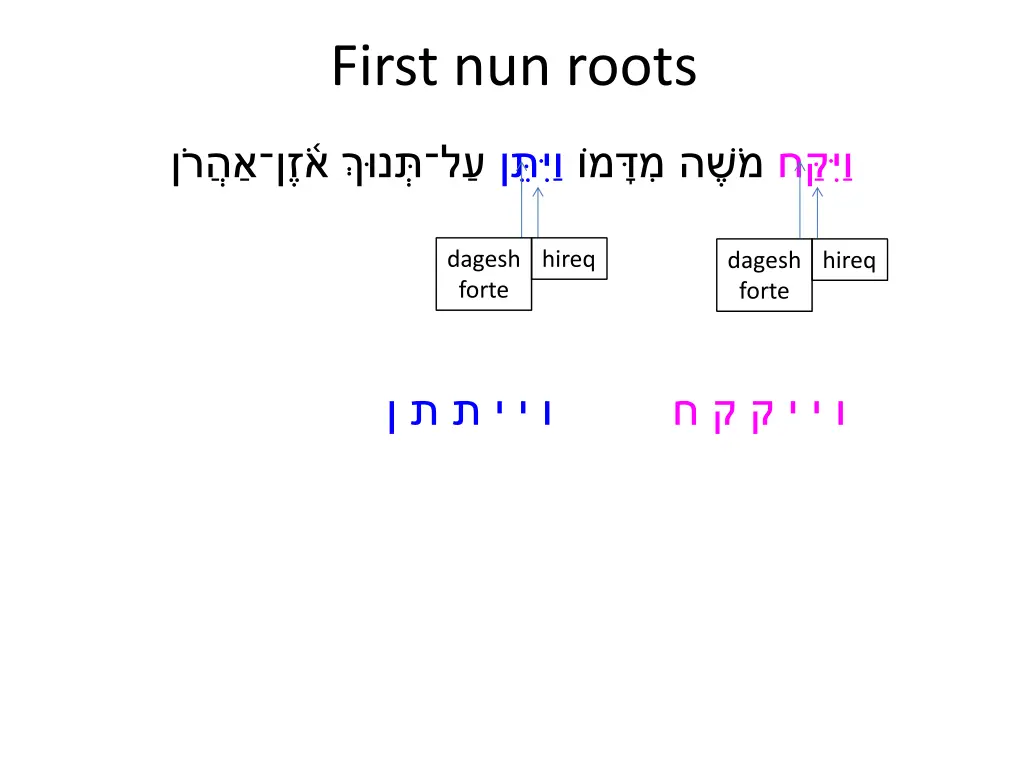 first nun roots 2