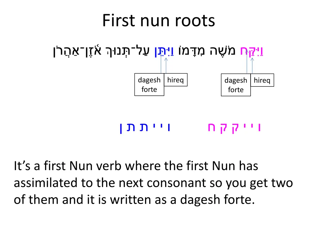 first nun roots 5