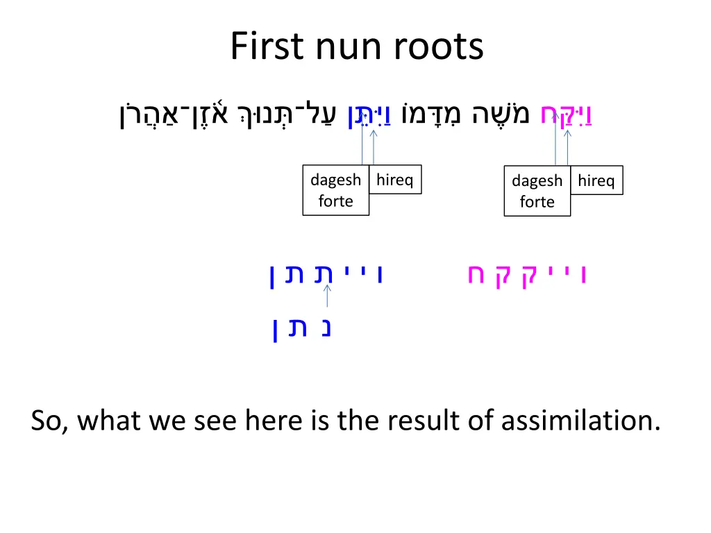 first nun roots 6