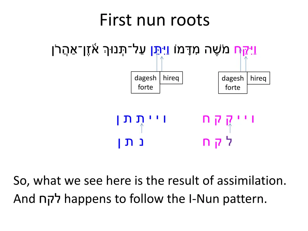 first nun roots 7