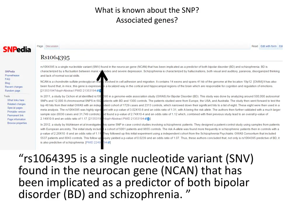 what is known about the snp associated genes