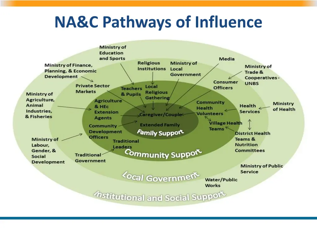 na c pathways of influence