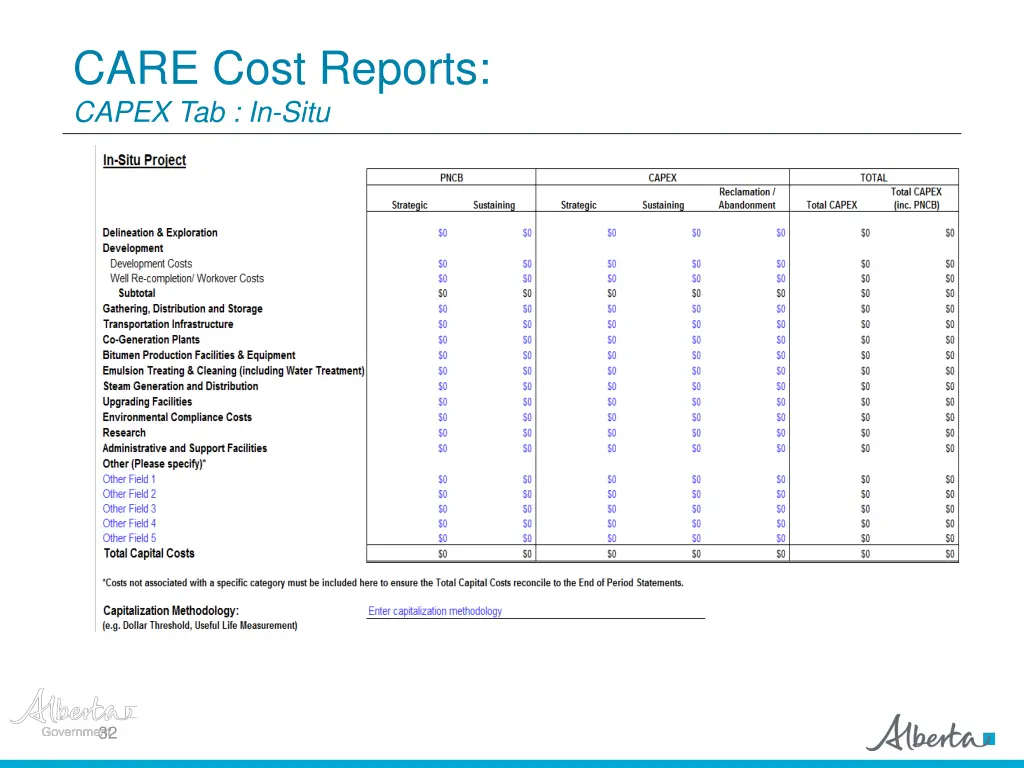 care cost reports capex tab in situ