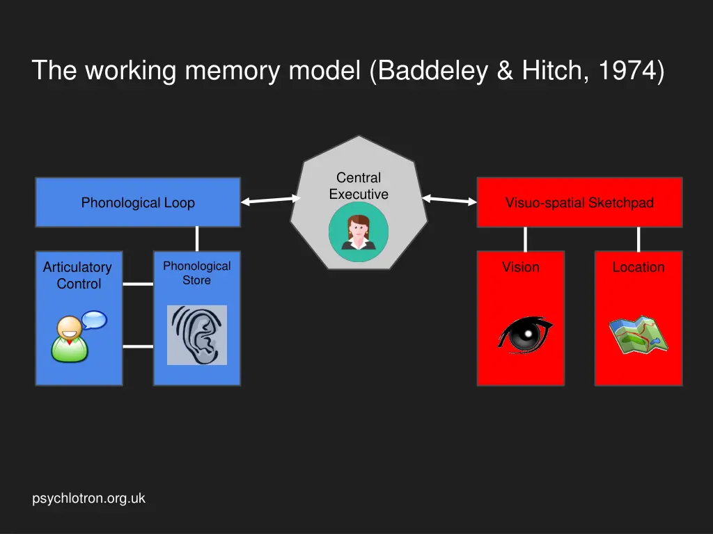 the working memory model baddeley hitch 1974