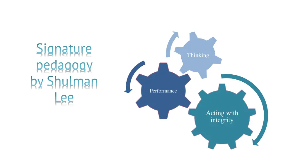 signature pedagogy by shulman lee