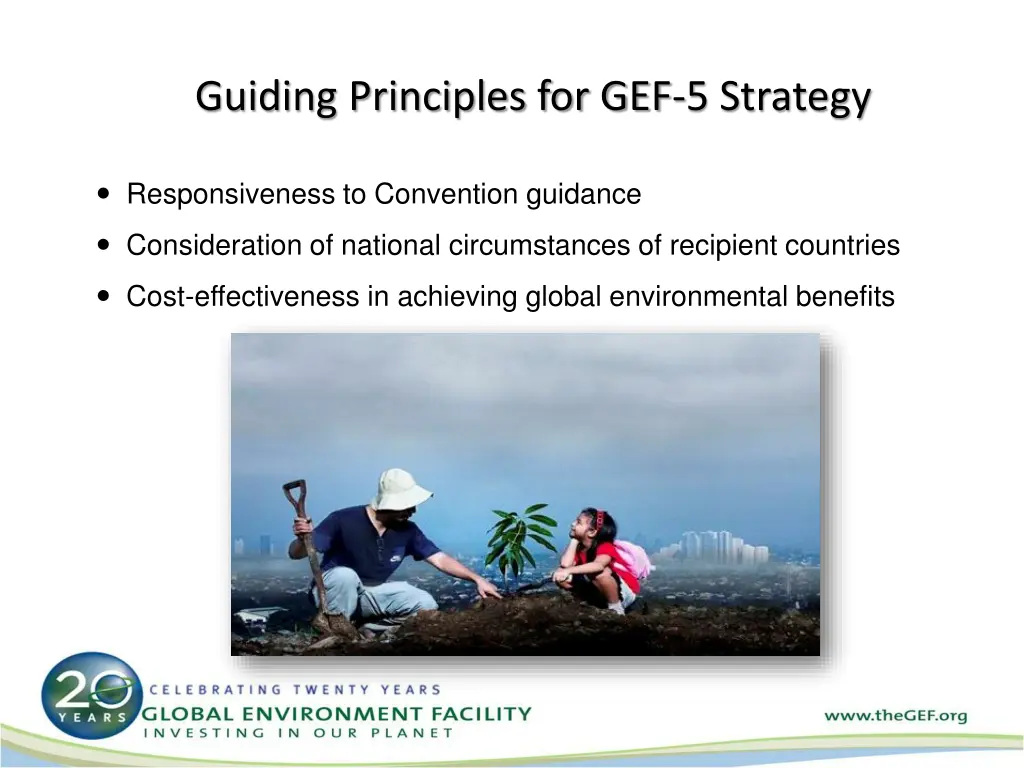 guiding principles for gef 5 strategy