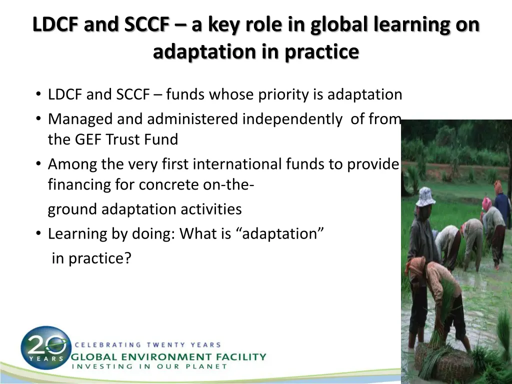 ldcf and sccf a key role in global learning