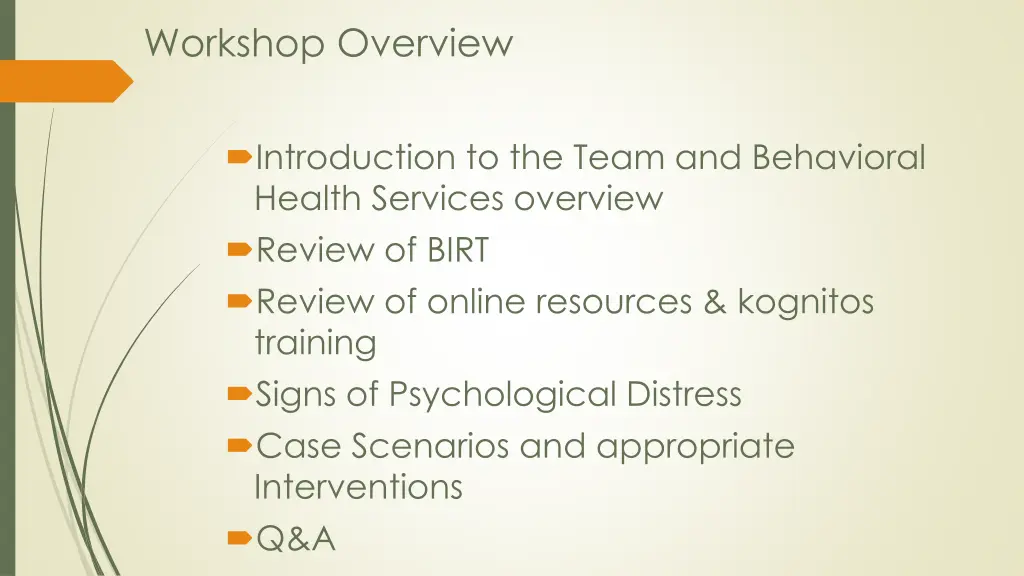 workshop overview