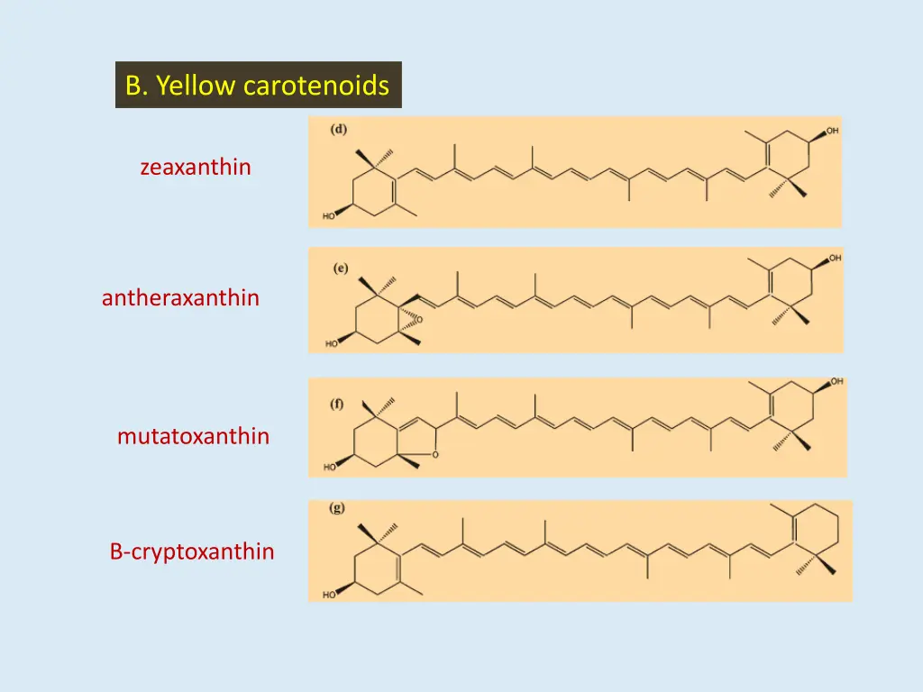 b yellow carotenoids