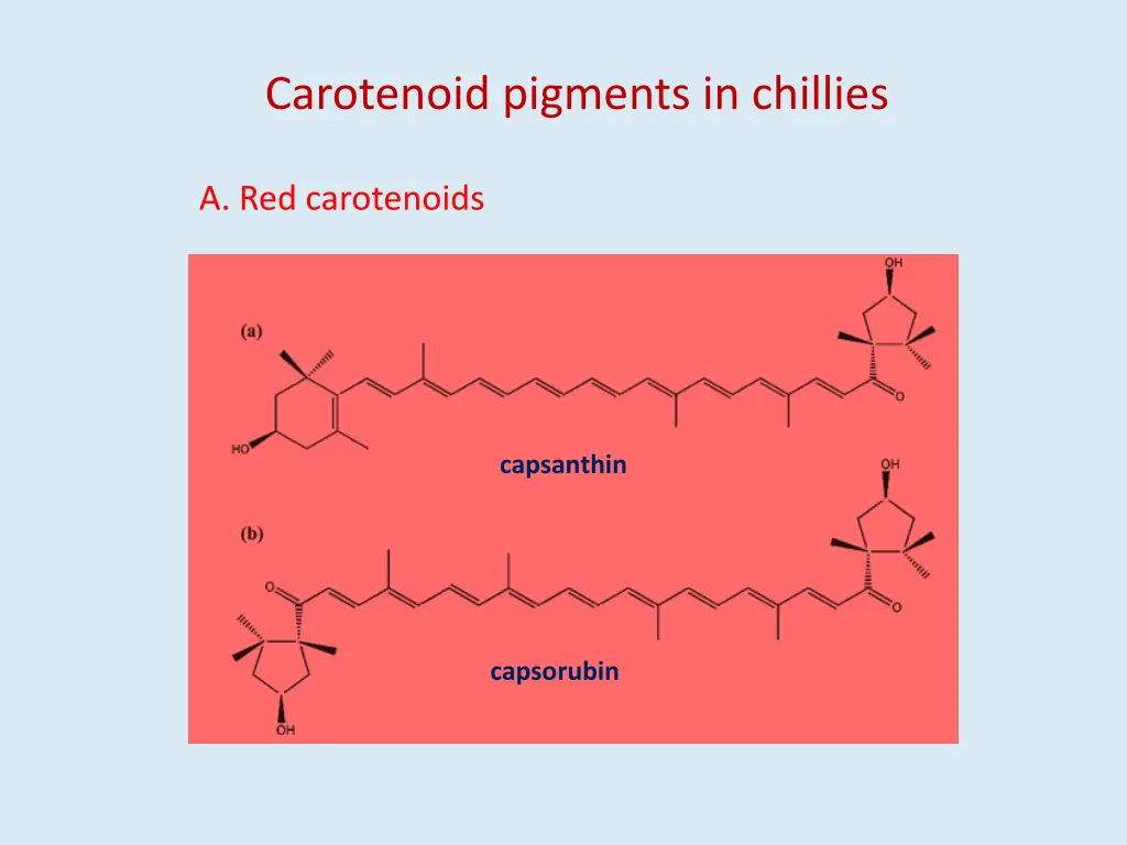 carotenoid pigments in chillies