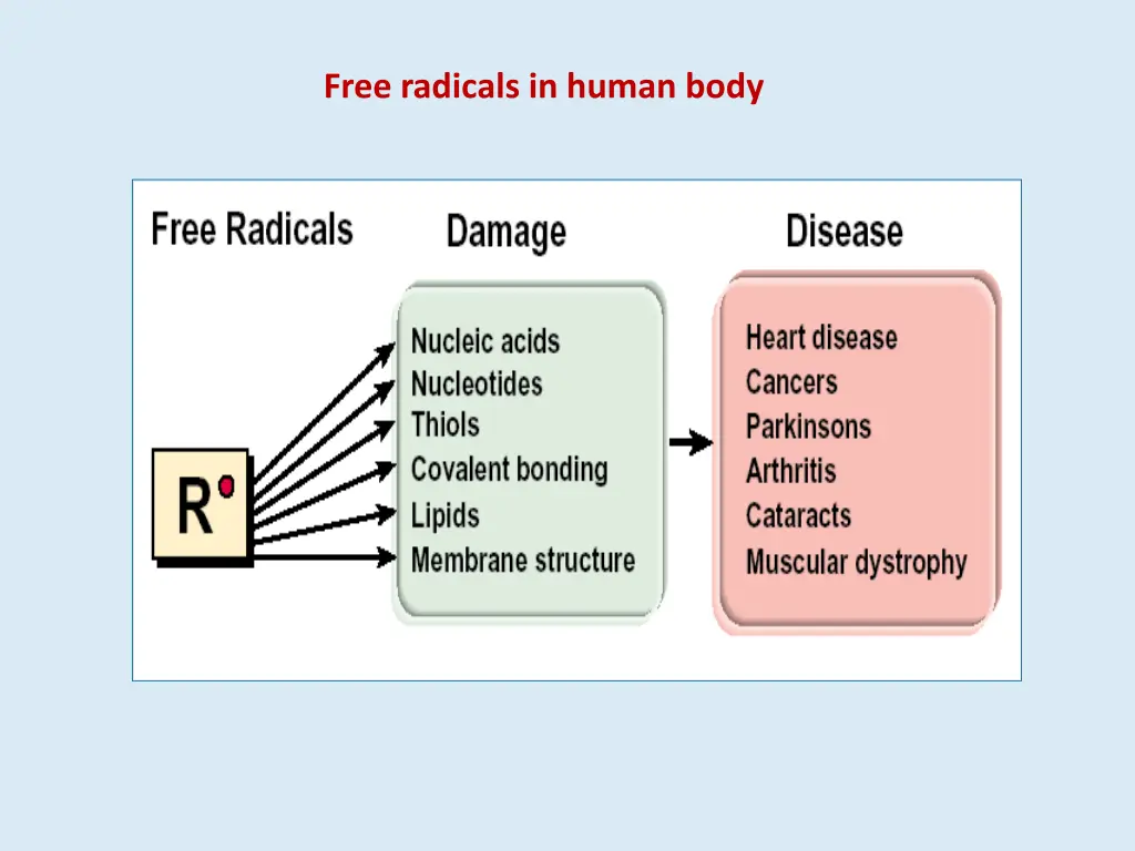 free radicals in human body