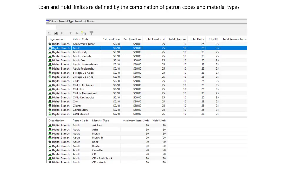 patron material type loan limit blocks loan