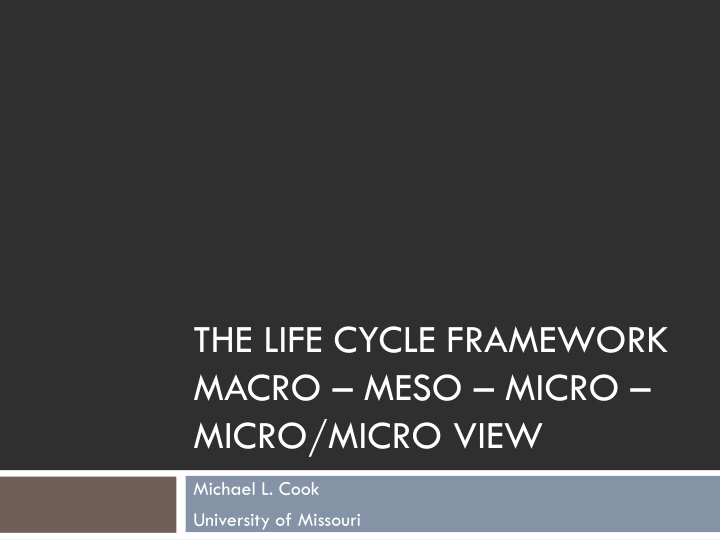 the life cycle framework macro meso micro micro