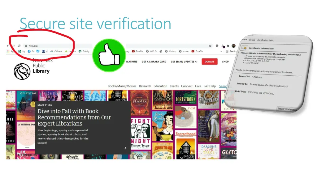 secure site verification