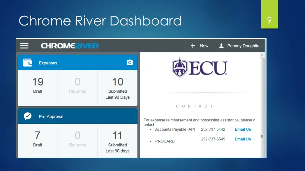 chrome river dashboard