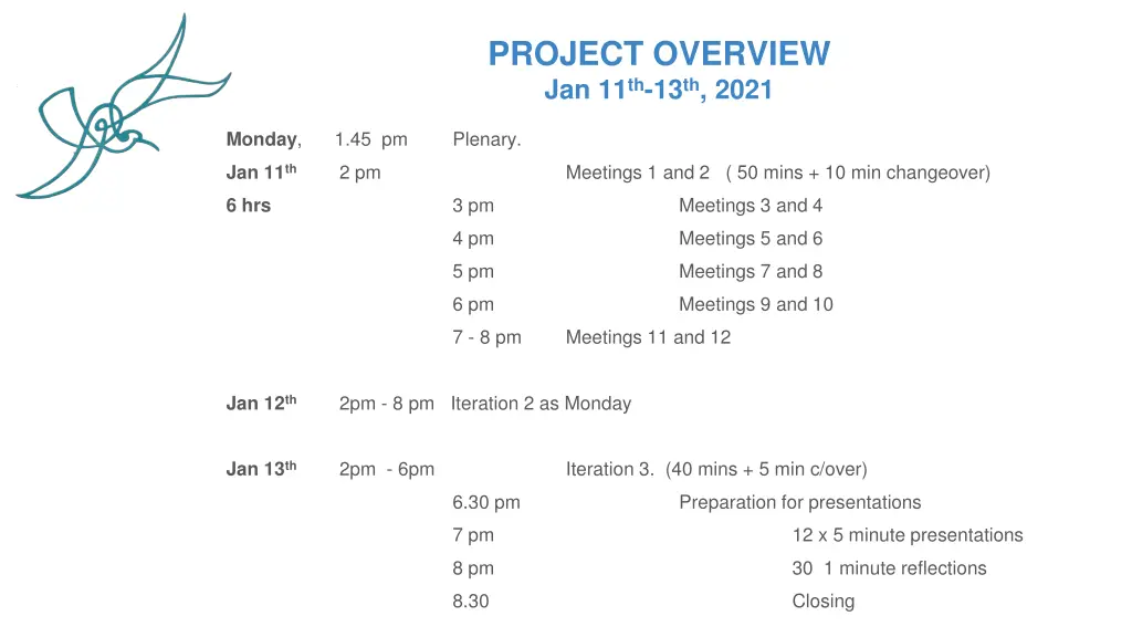 project overview jan 11 th 13 th 2021